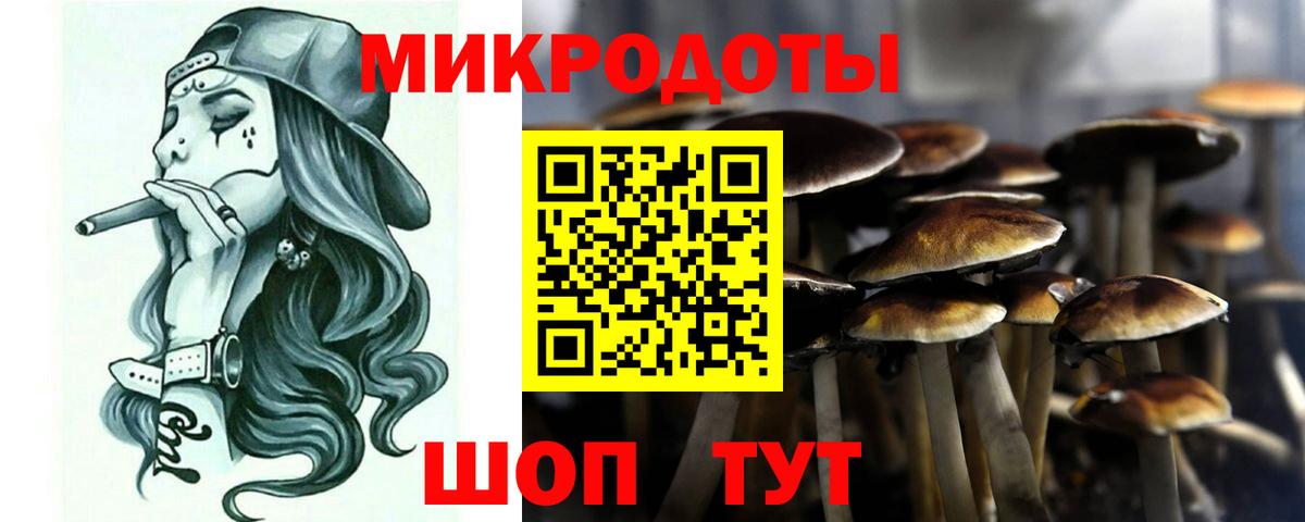 Галлюциногенные грибы Cubensis  Вход с VPN  Темрюк 